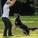 Obe DM Meisdorf 2012