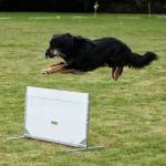 Obe DM Meisdorf 2012