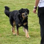 Obe DM Meisdorf 2012