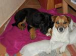 Charis und Fiete