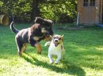 Charis und Fiete