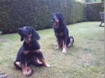Cyra und Tolja