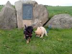 Charis und Channa an der Megalithsichel mit 9 Wochen
