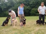 Aenya, Channa, Charis, Cord und Jack