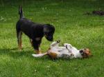 Charis und Fiete