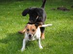 Charis und Fiete
