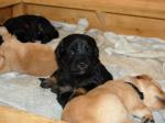 Cord und Chuna Tag 20