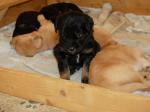 Cord und Chuna Tag 20