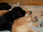 Cord und Chuna Tag 20