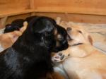 Cord und Chuna Tag 20