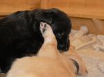 Cord und Chuna Tag 20