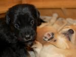 Cord und Chuna Tag 20