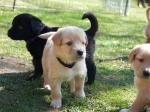 Chuna, Caya und Cajus Tag 26