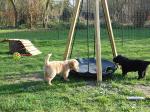 Channa und Caya Tag 33