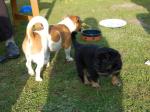 Fiete und Cord Tag 33