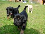 Charis und Cord Tag 28