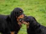 Aenya und Jack