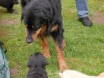 Jack und Cord Tag 44