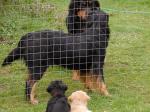 Aenya und Jack