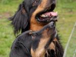 Aenya und Jack