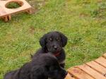 Cord und Charis Tag 44