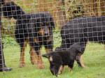 Aenya, Jack und Cord