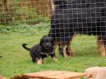 Aenya, Jack und Cord