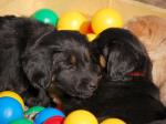 Charis und Cyra Tag 45