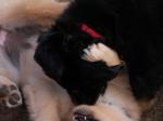 Charis und Channa Tag 54