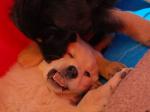 Charis und Channa Tag 54