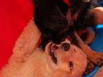 Charis und Channa Tag 54