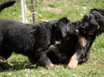 Caya und Cyra Tag 49
