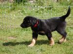 Charis Tag 49
