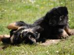 Caya und Cyra Tag 49