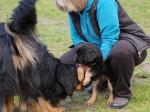Jack und Cord Tag 50