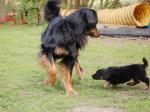 Jack und Cord Tag 50