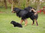 Jack und Cord Tag 50