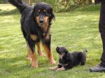 Jack und Cord Tag 50
