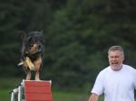 Tolja beim Agility
