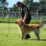 Arnie aus dem Oldesloer Land