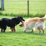 Aenya und Arnie Spiel nach der Ausstellung