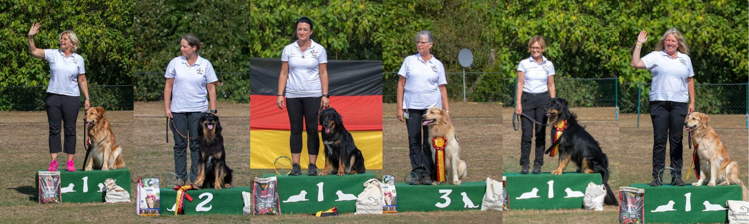 Obedience DM 2024