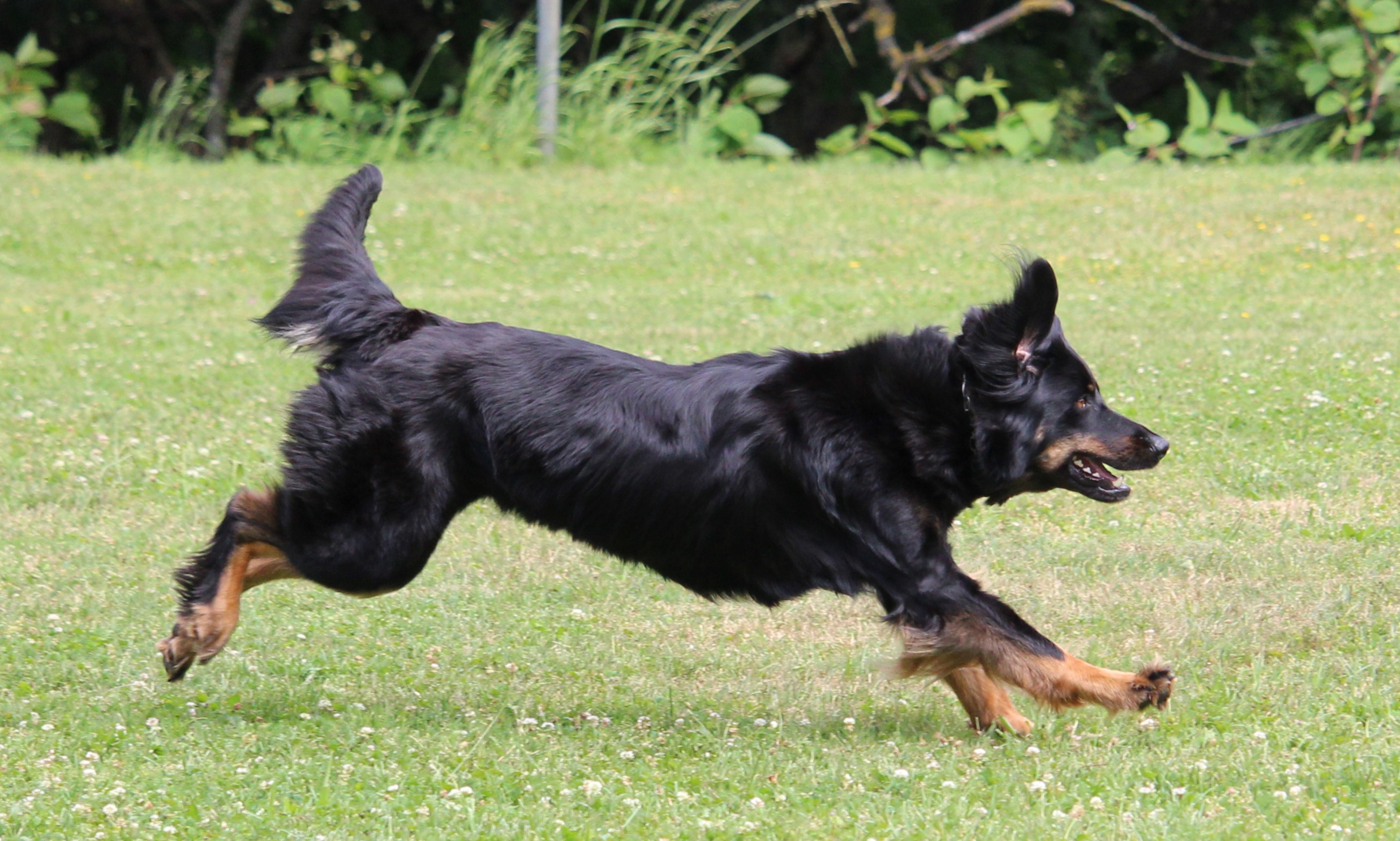 Übungstage im Januar 26