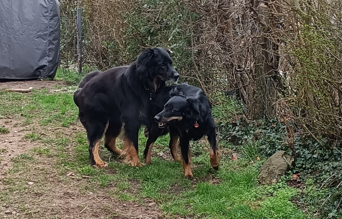 F-Wurf auf den Weg gebracht