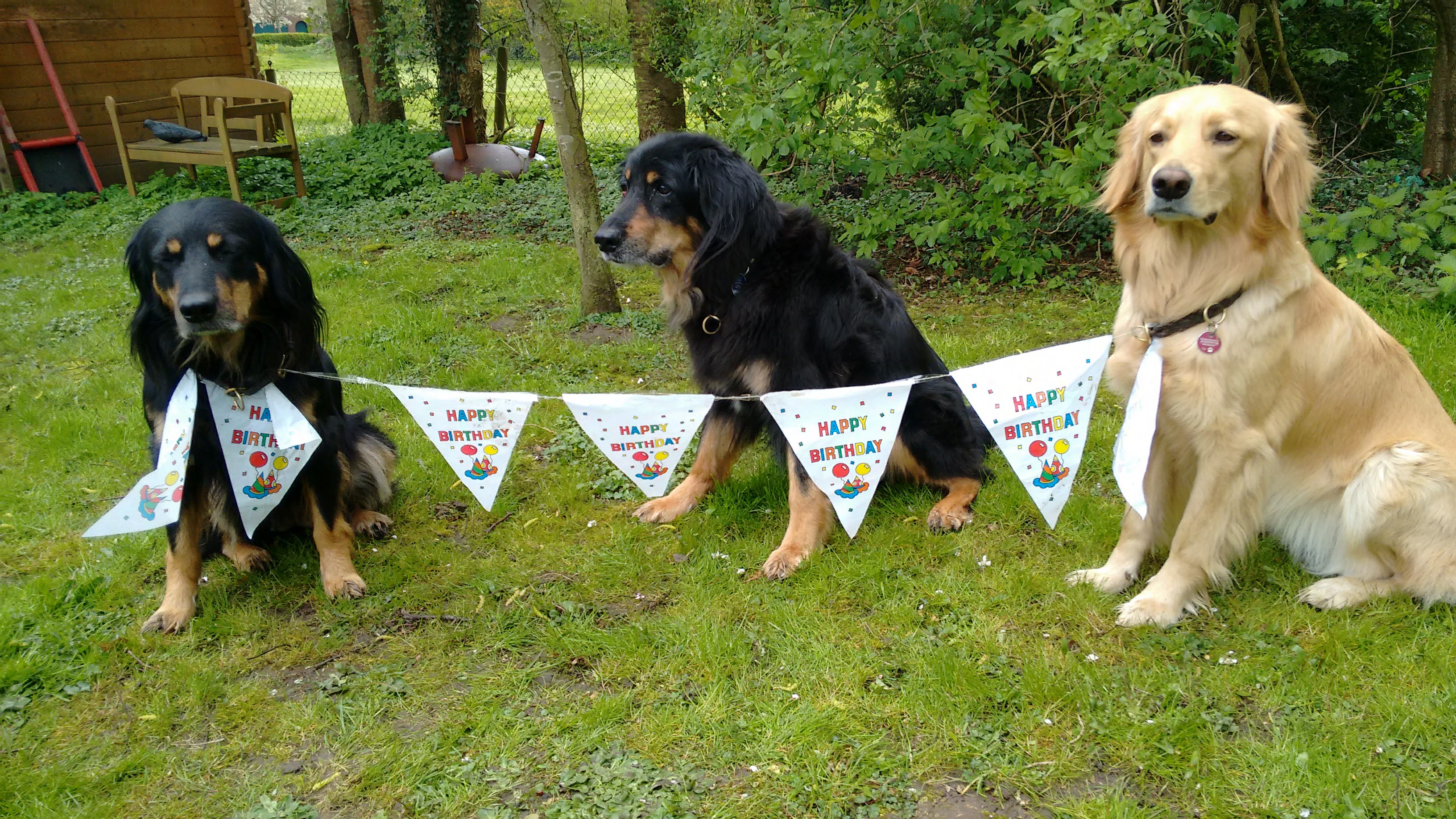 Bonny ist 15 Jahre alt