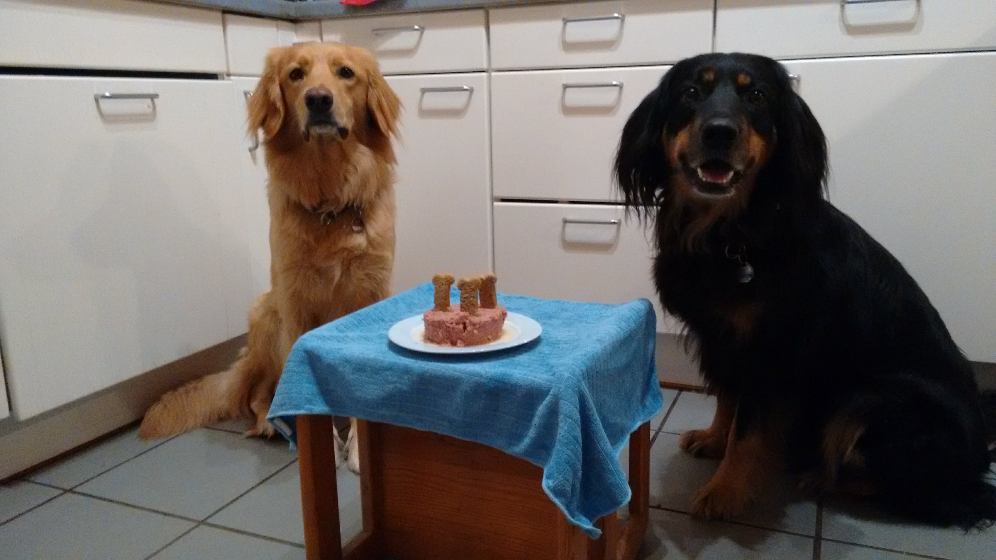 3. Geburtstag C-Wurf