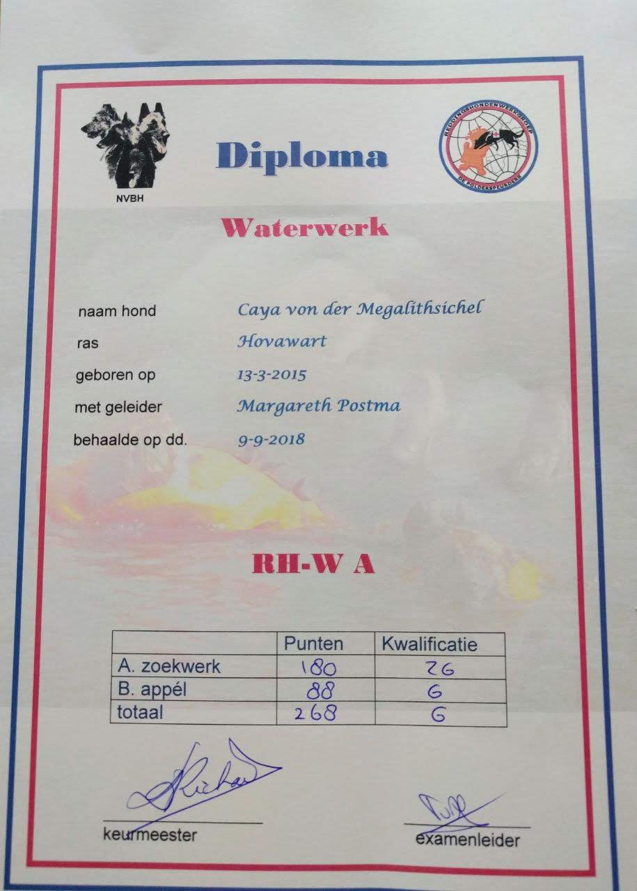 Caya hat die Wasserarbeitsprüfung A
